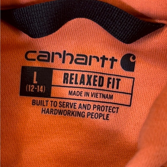 Carhartt Youth Relaxed Fit Clarksburg Sleeve Logo Sweatshirt Hoodie Size L 12-14 - Picture 4 of 7